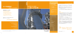 工業化学産業 - Publications du gouvernement du Canada