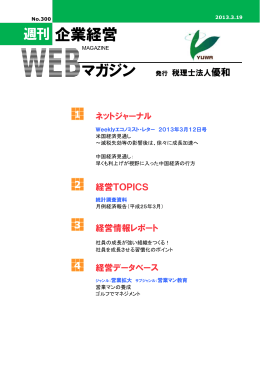 NO.300 平成25年3月19日発刊（PDF）