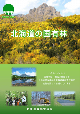 北海道の国有林
