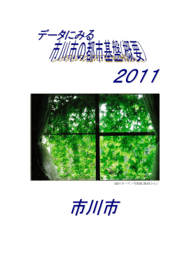 2011版（PDF4.36Mb）
