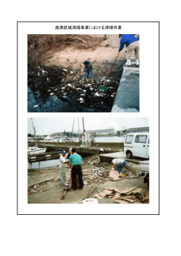 漁港区域清掃事業における清掃作業