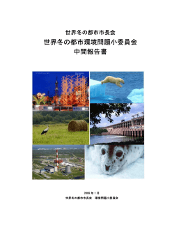 世界冬の都市環境問題小委員会 中間報告書