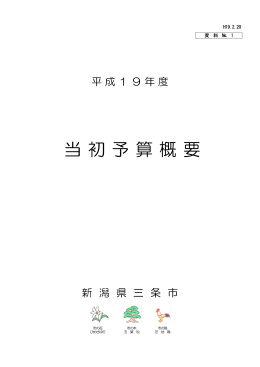 平成19年度当初予算の概要