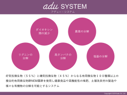 adu SYSTEM