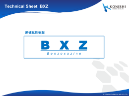 Technical Sheet BXZ B enzoxazine