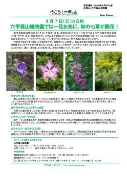 六甲高山植物園では一足お先に、秋の七草が開花！