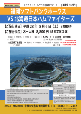 福岡ソフトバンクホークス VS北海道日本ハムファイターズ