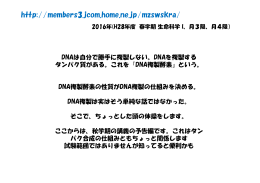 DNA複製パズル・期末試験の説明