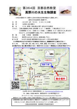 第364回 京都自然教室 高野川の水生生物調査