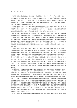 報告書本文 - 日本弁護士連合会