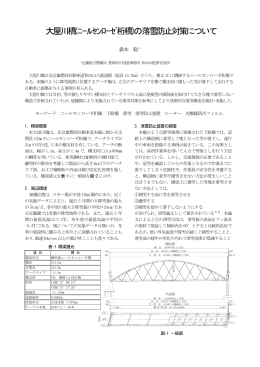 大屋川橋(ﾆｰﾙｾﾝﾛｰｾﾞ桁橋)の落雪防止対策について
