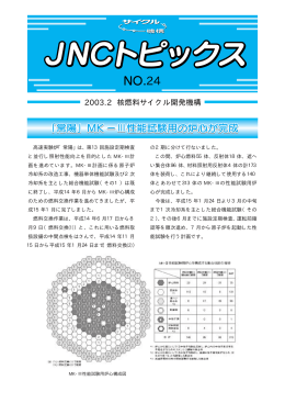 Ⅲ - 国立研究開発法人日本原子力研究開発機構