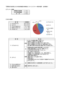 アンケート集約 (PDF:199KB)