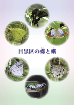 目黒区の蝶と蛾その2（ページ1から8）（PDF：1878KB）