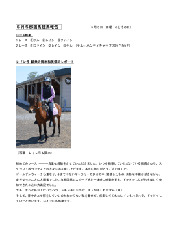 与那国競馬5月大会の報告 - Arabian Horse Ranch