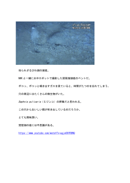 知られざるびわ湖の湖底。 NHK と一緒に水中ロボットで撮影した琵琶湖