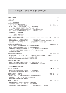 エジプトにおける発掘調査の歴史