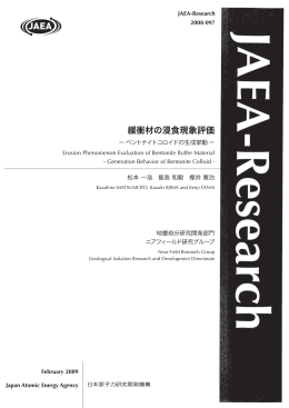 JAEA-Research-2008