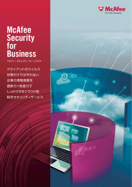 BR_Security for Business_1404.indd