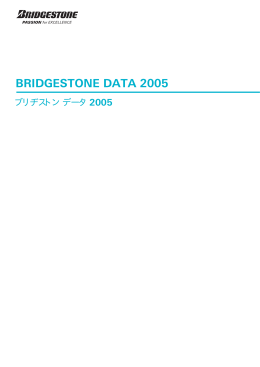 BRIDGESTONE DATA 2005 （585KB）