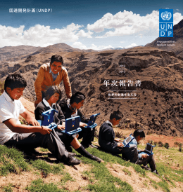 年次報告書 - UNDP