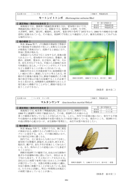 11昆虫類 2（PDF形式：1603KB）