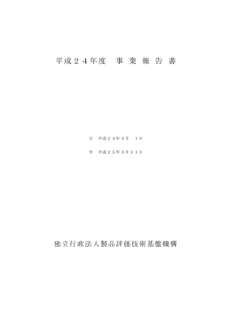 平成24年度事業報告書【PDF:1390KB】