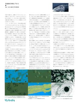 宍道湖の赤潮とアオコ