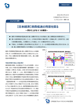 2016年 6月 【日本経済】消費低迷の背景を探る ～浮かび上がる5つの要因