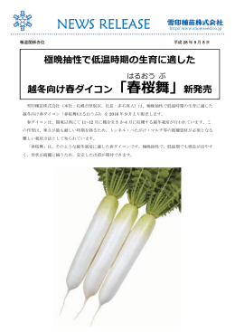 桜 舞 - 雪印種苗株式会社
