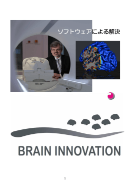 Brain Innovationについて