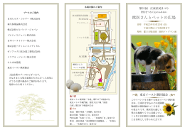 獣医さんとペットの広場 - 東京イースト獣医協会