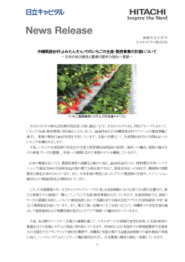 沖縄県読谷村(よみたんそん)でのいちごの生産・販売事業の計画について