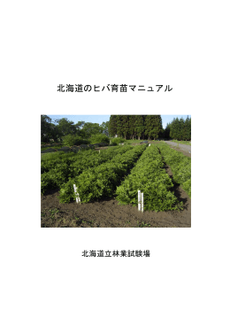 北海道のヒバ育苗マニュアル
