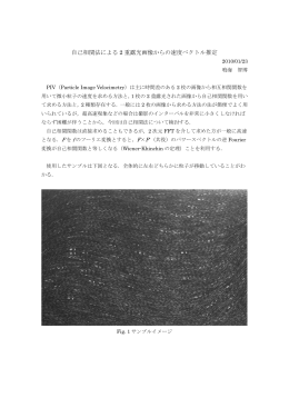 自己相関法による 2 重露光画像からの速度ベクトル推定 - Kimura