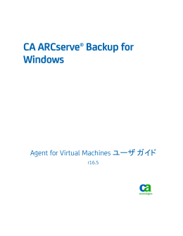 CA ARCserve Backup for Windows Agent for Virtual Machines