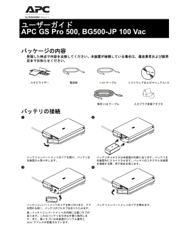 APC GS Pro 500, BG500