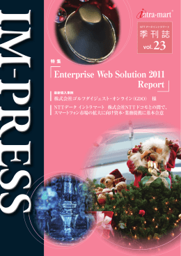 Enterprise Web Solution 2011 Report