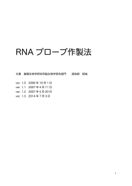 RNA プローブ作製法