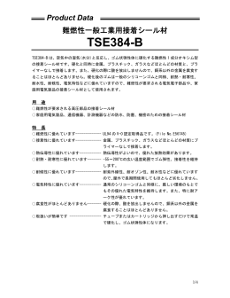 TSE384-B
