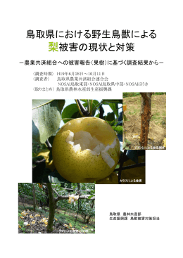 鳥取県における野生鳥獣による梨被害の現状と対策〔ver.1.41〕