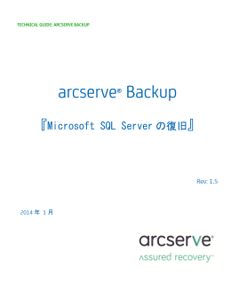 Microsoft SQL Server の復旧
