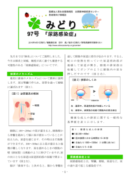 尿路感染症① - 医療法人育生会 篠塚病院