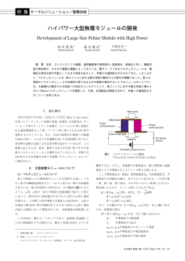 全文pdf（696KB）