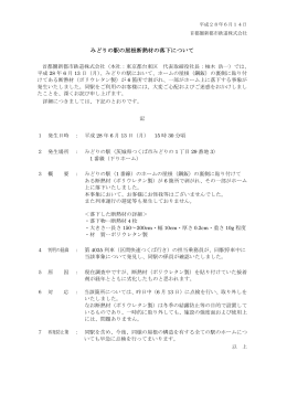 みどりの駅の屋根断熱材の落下について