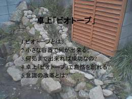 卓上「ビオトープ」
