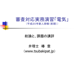 審査対応実務演習「電気」 （平成19年新人研修（前記））