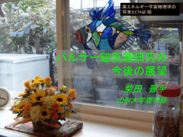 パルサー磁気圏研究の今後の展望