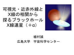 ブラックホールX線連星からの可視光変動現象