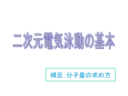 2次元電気泳動3